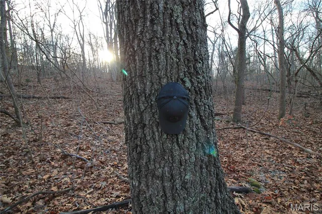 $29,500 | 0 Glory Trail, De Soto, MO 63020