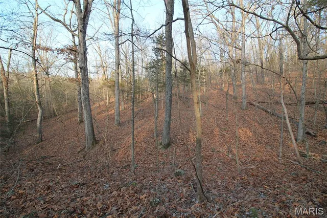 $29,500 | 0 Glory Trail, De Soto, MO 63020