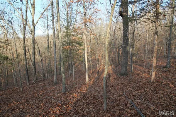 $29,500 | 0 Glory Trail, De Soto, MO 63020