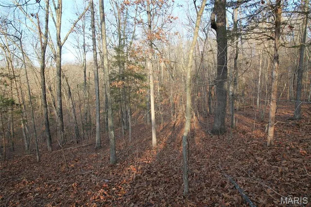 $29,500 | 0 Glory Trail, De Soto, MO 63020