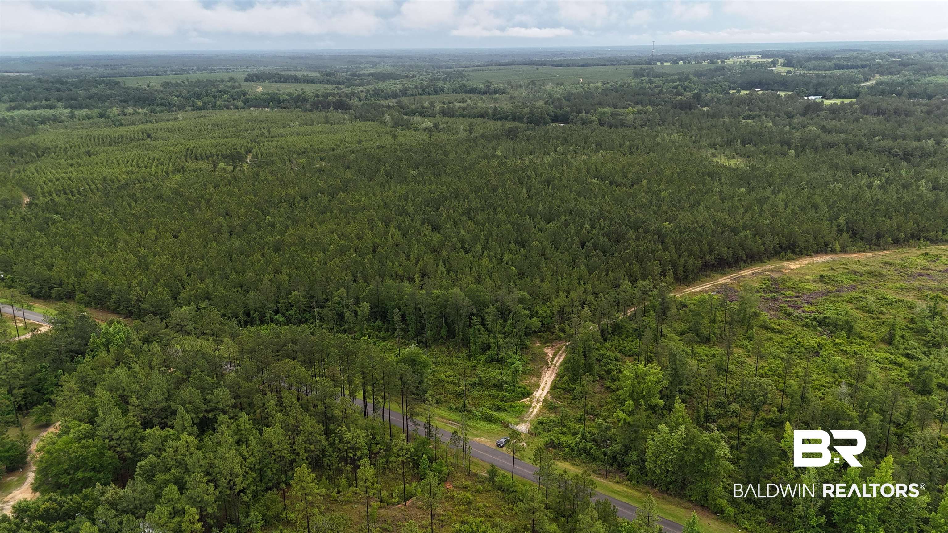 Lot 4-5 Lonnie Hadley Road Perdido, AL 36562 - Photo 1 of 9