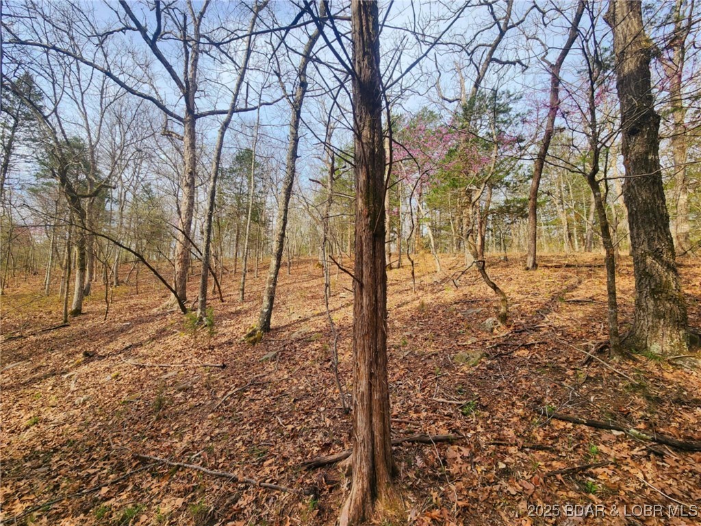 Lot 2 State Aa Road Roach, MO 65787 - Photo 13 of 27