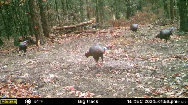 $127,820 | Lot 2 State Aa Road, Roach, MO 65787