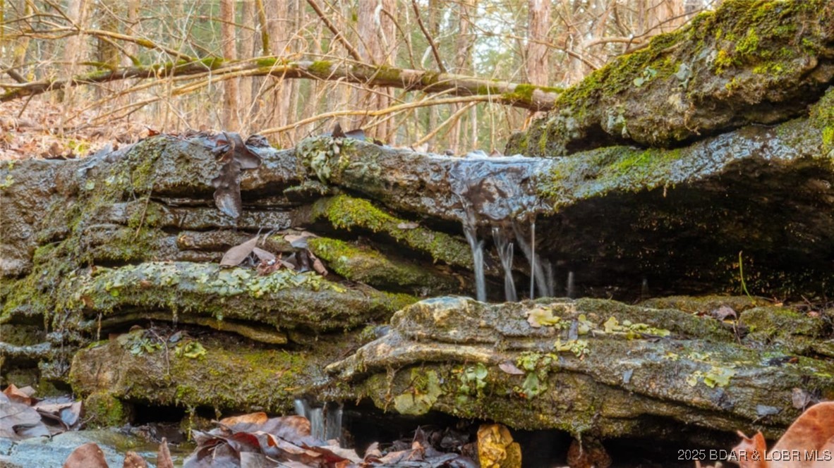Lot 2 State Aa Road Roach, MO 65787 - Photo 24 of 27