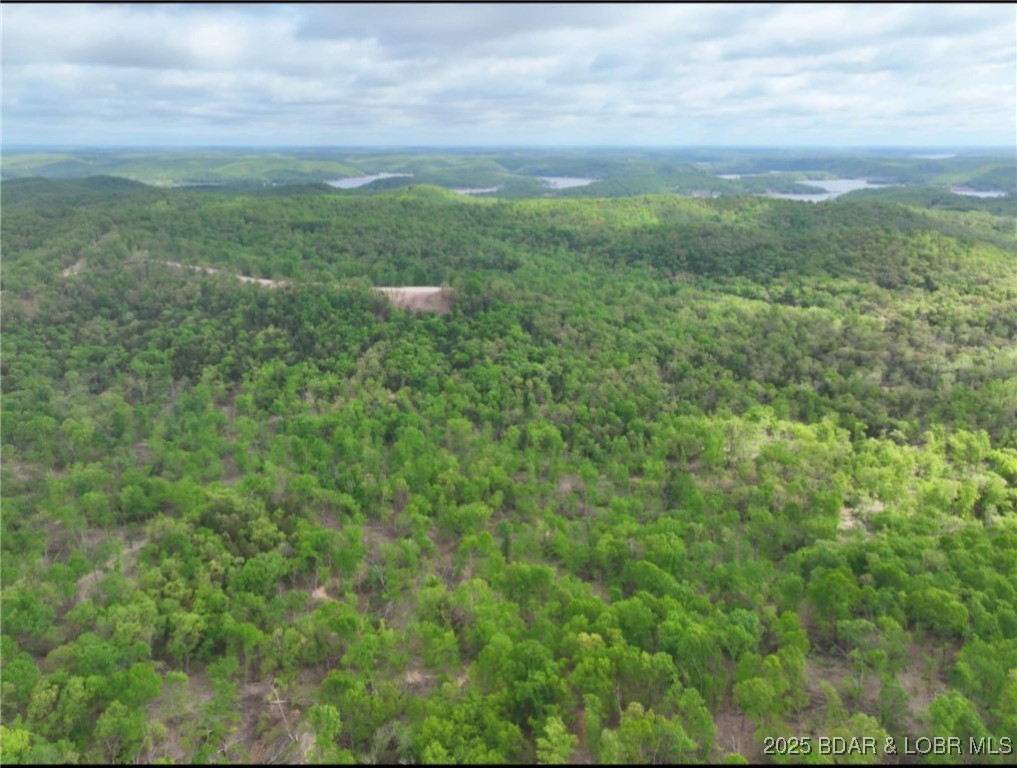 Lot 2 State Aa Road Roach, MO 65787 - Photo 3 of 27