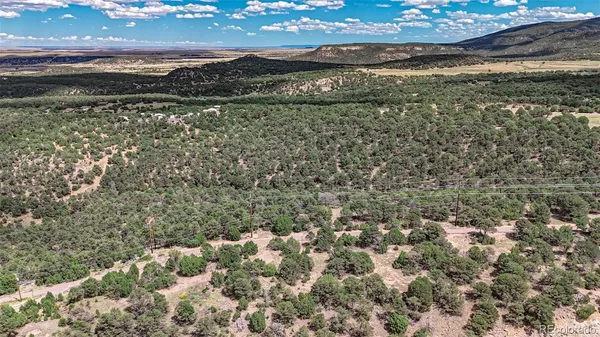 a view of lot of green space