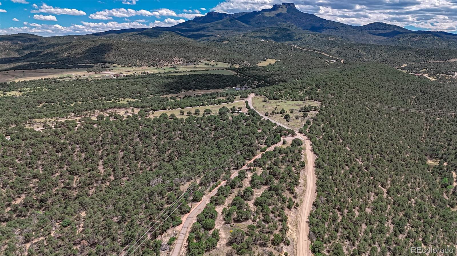 11771 Diamond View Trinidad, CO 81082 - Photo 8 of 12 a view of lot of green space