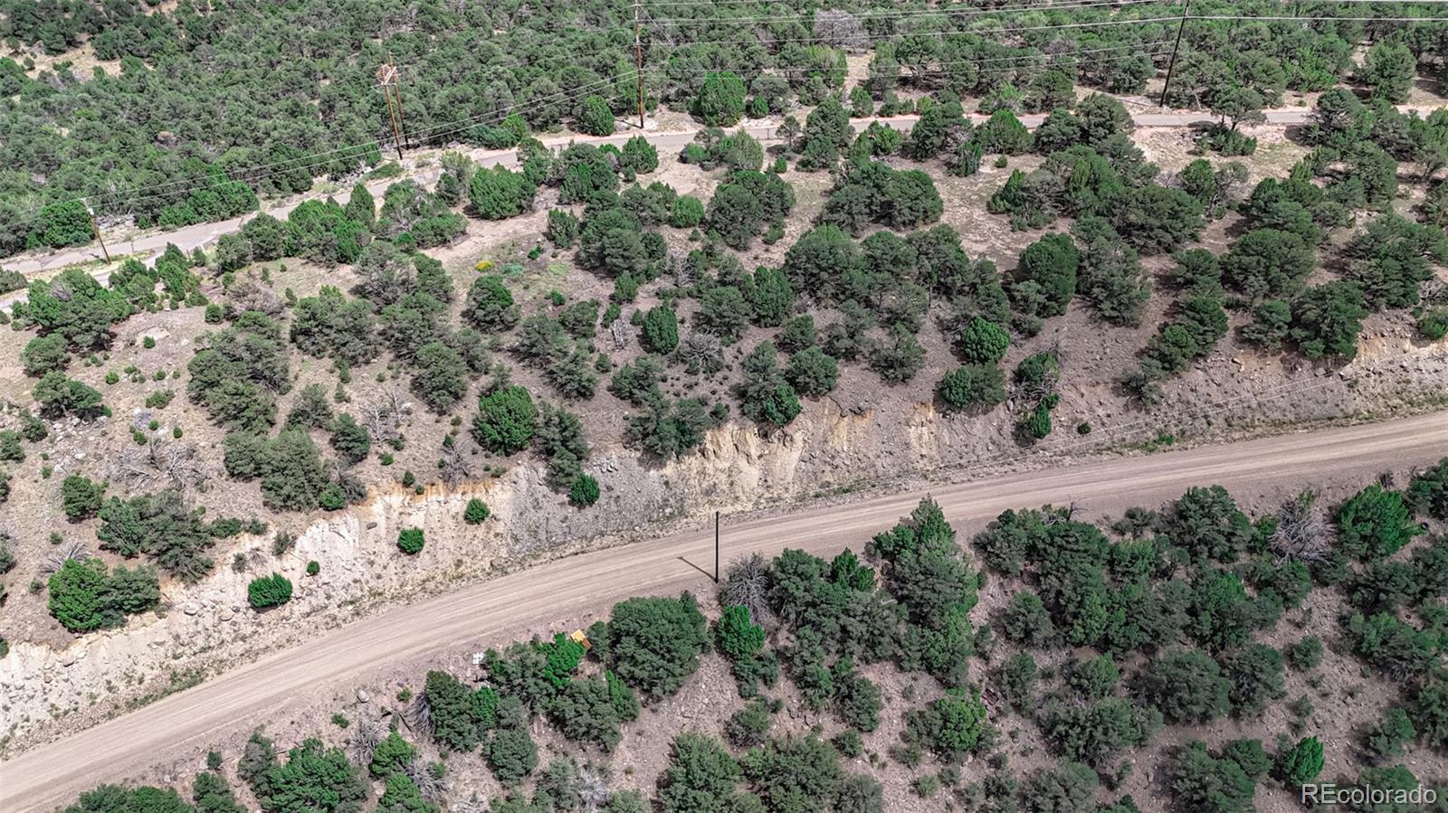 11771 Diamond View Trinidad, CO 81082 - Photo 9 of 12 a view of a yard with a tree