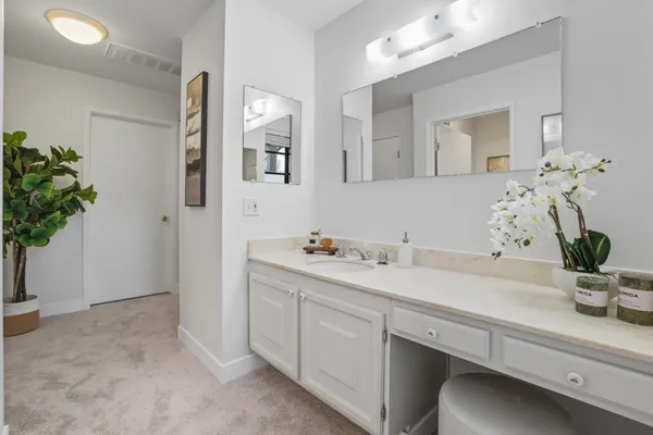 a bathroom with a potted plant on the counter and mirror