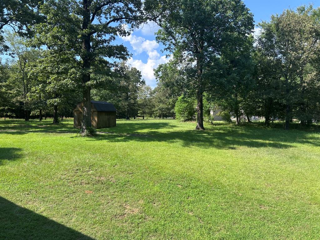 116 Gas Plant Road Doyline, LA 71023 - Photo 10 of 19 Expansive grassy area featuring mature trees and a detached shed with a dark roof