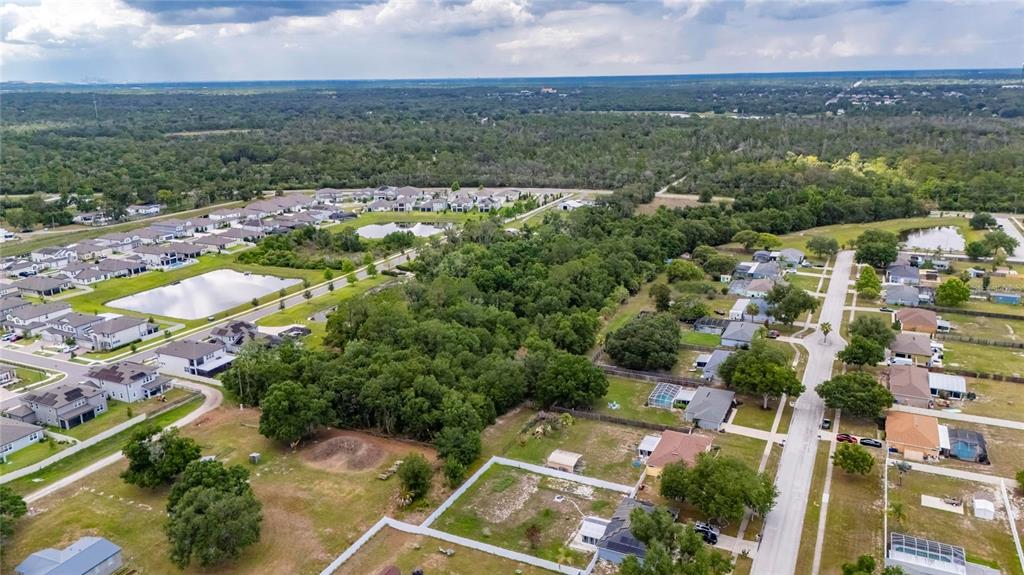 13311 Rhodine Road Riverview, FL 33579 - Photo 6 of 7