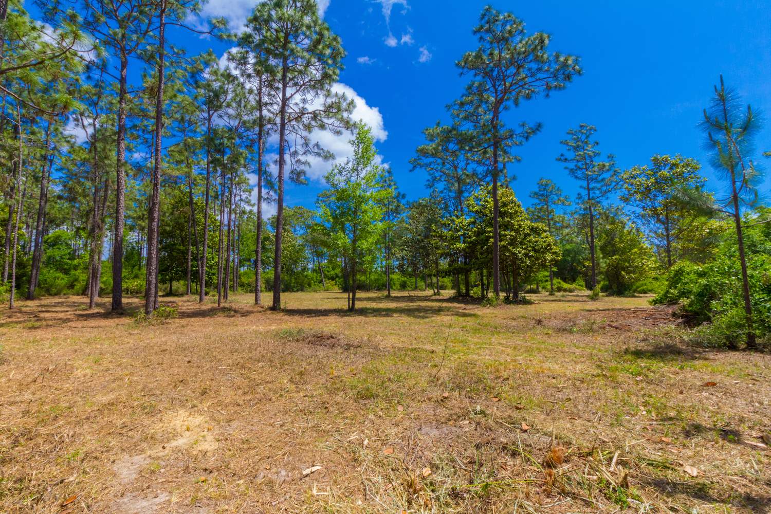 8844 Red Fish Pt Road Lillian, AL 36549 - Photo 5 of 16