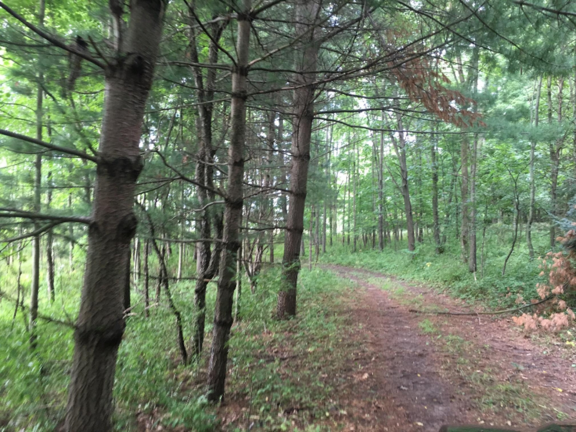 IMG_4195
