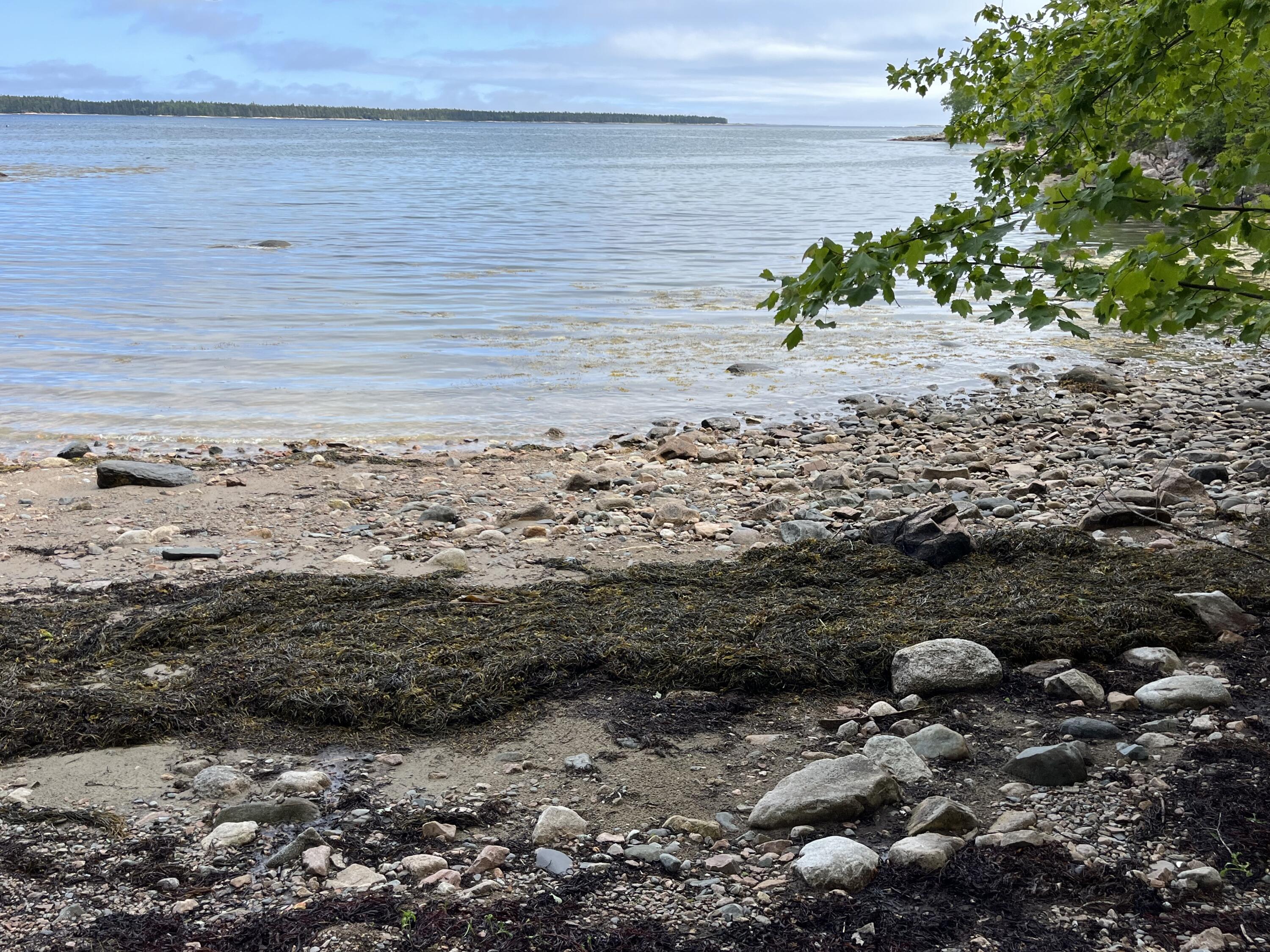 278 Paul Bunyan Road Corea, ME 04624 - Photo 19 of 24 IMG_3723