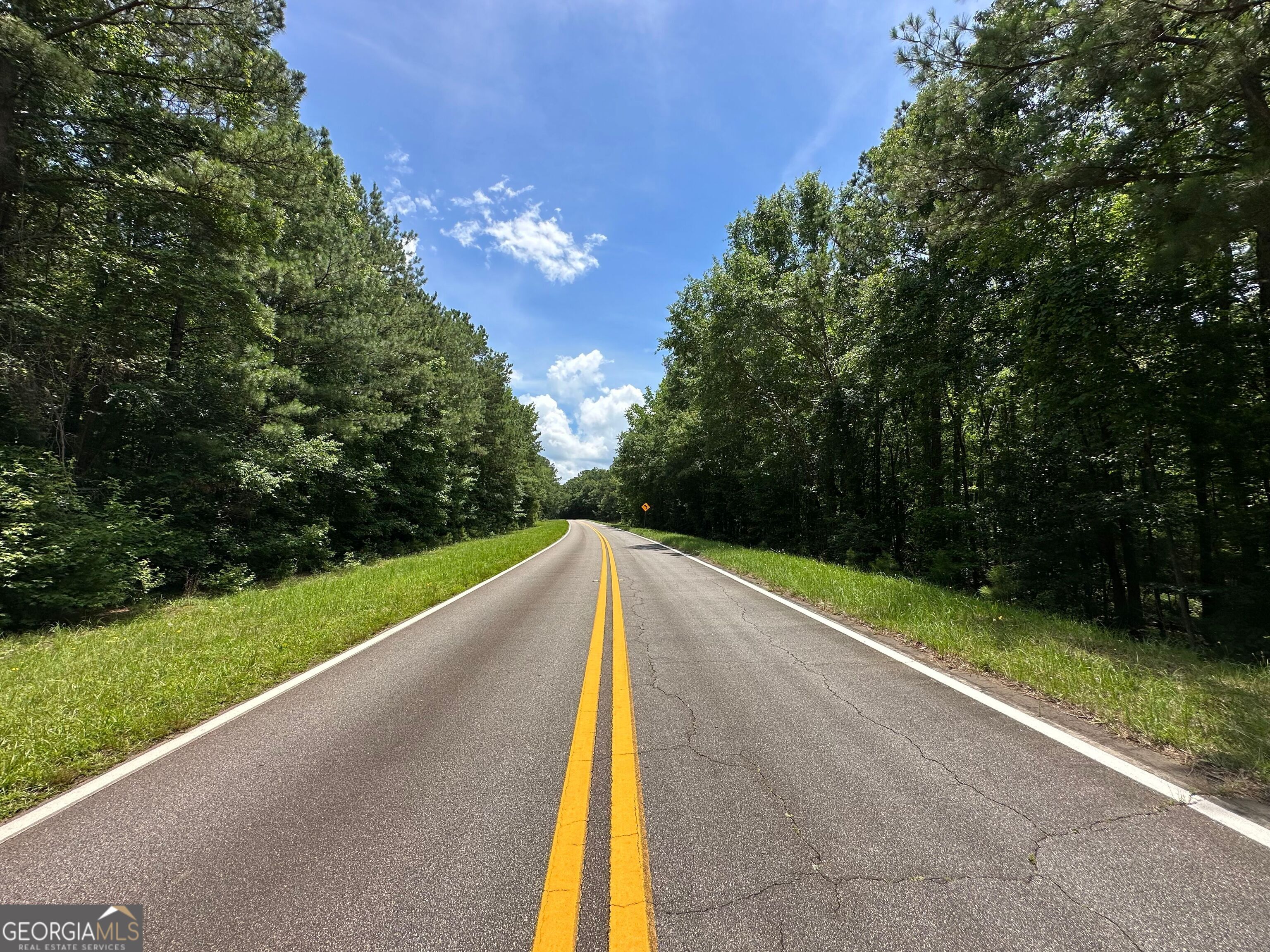 9.82-acres Springfield Road Sparta, GA 31087 - Photo 11 of 31