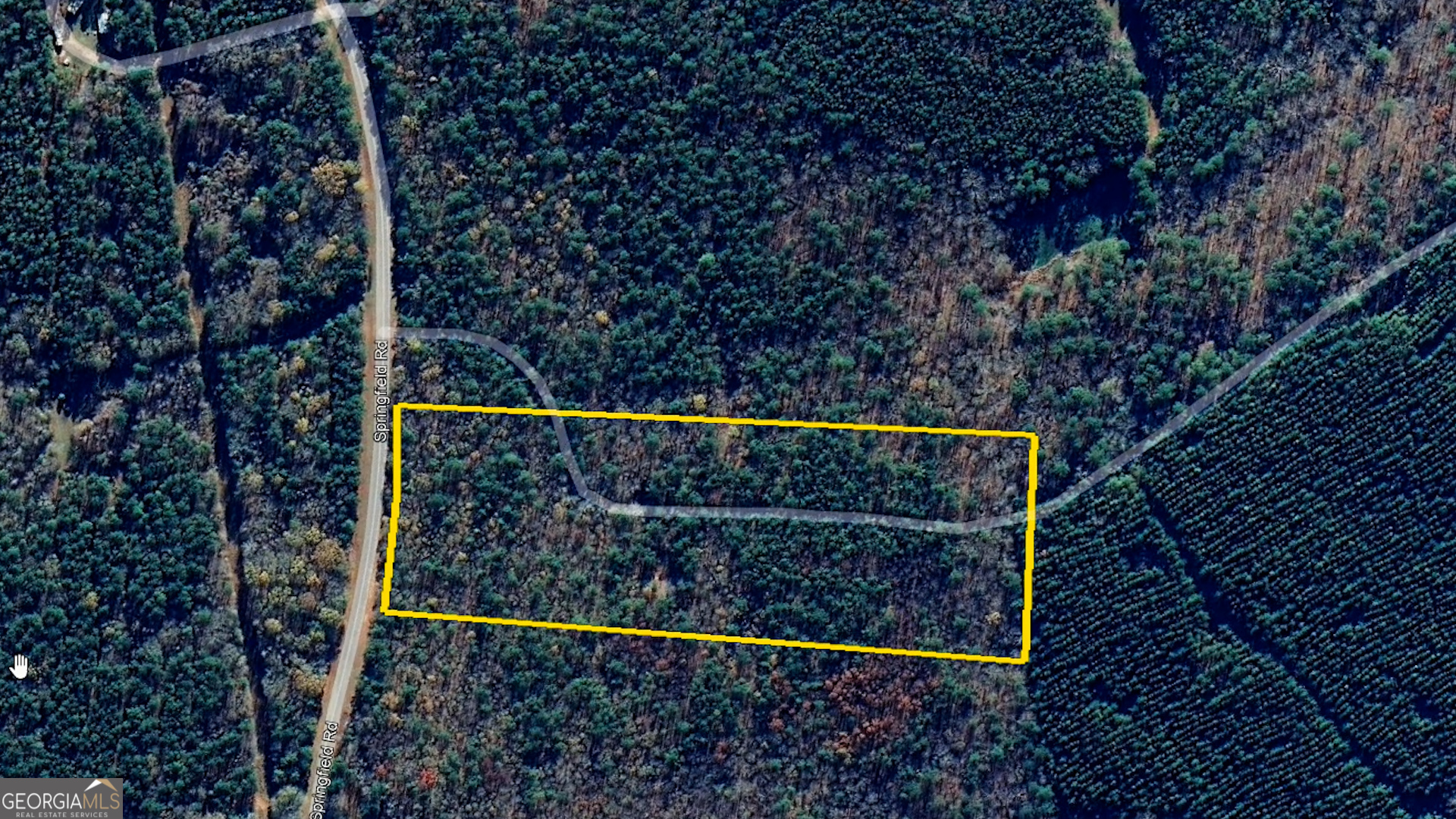 9.82-acres Springfield Road Sparta, GA 31087 - Photo 24 of 31