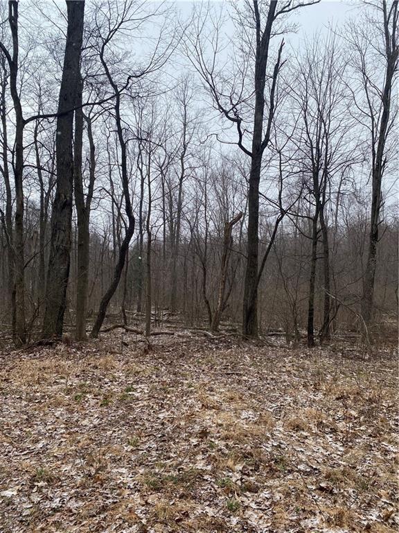 0 Laurel Road Clymer, PA 15728 - Photo 10 of 14 a view of a backyard of the house