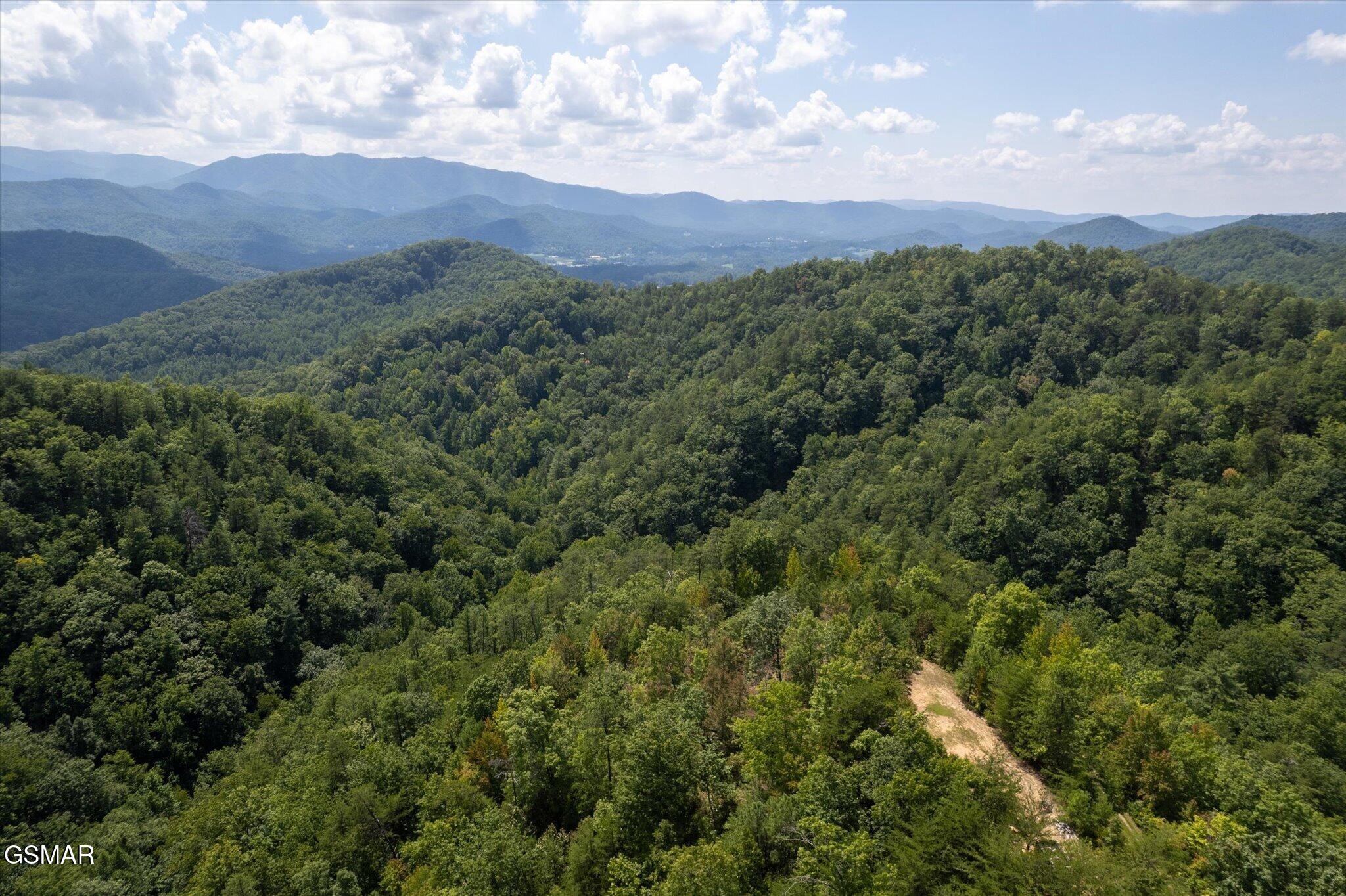 1080 Hembree Hollow Road Townsend, TN 37882 - Photo 17 of 21 Gallery Image 17