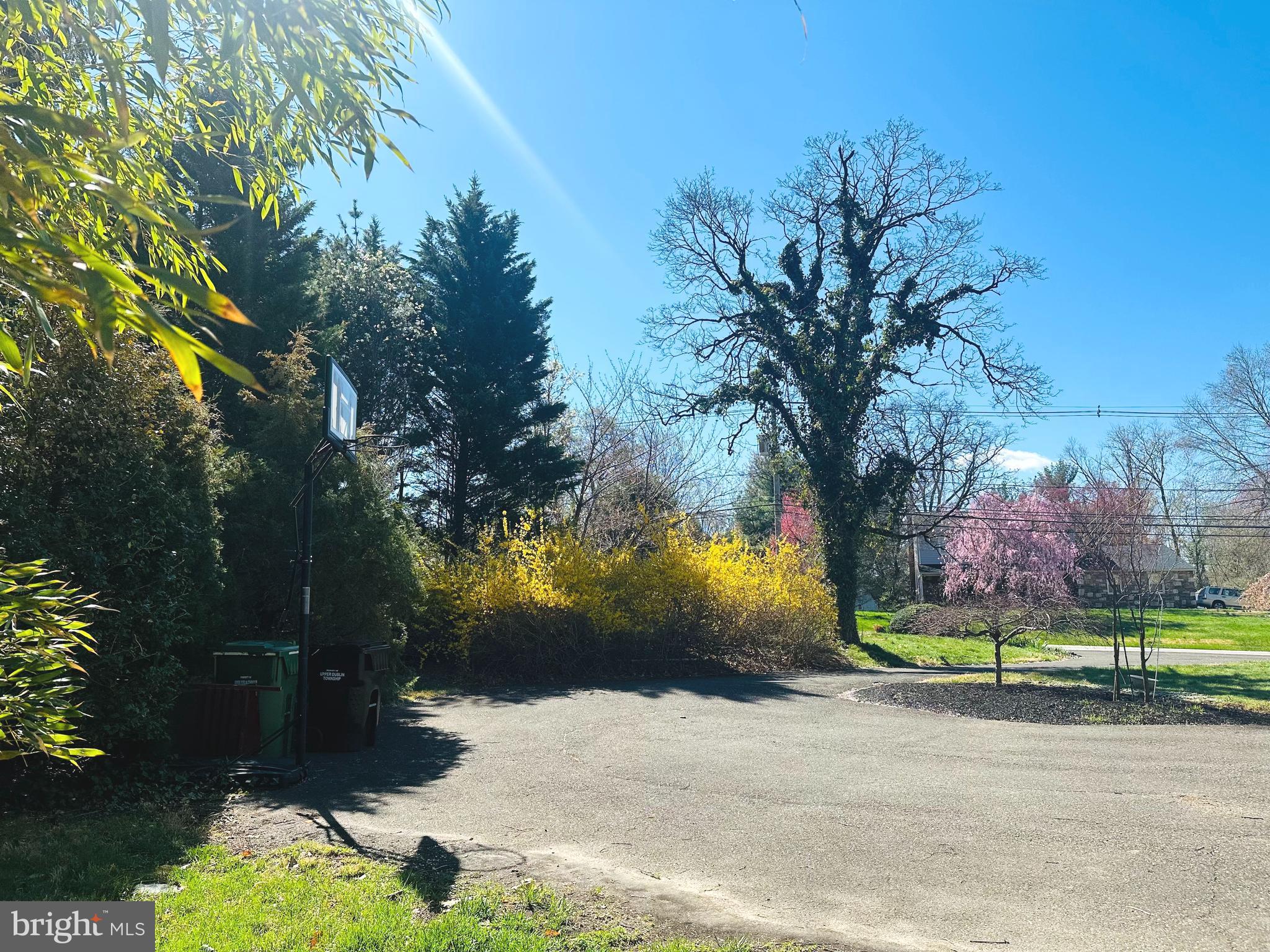 1626 Norristown Road Ambler, PA 19002 - Photo 55 of 57 a view of a yard with plants and trees