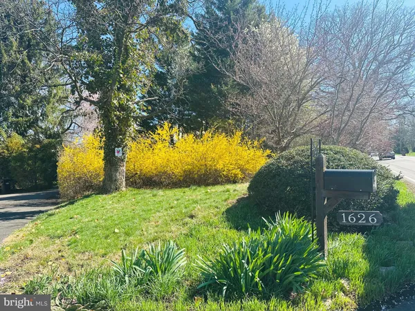a view of yard with green space