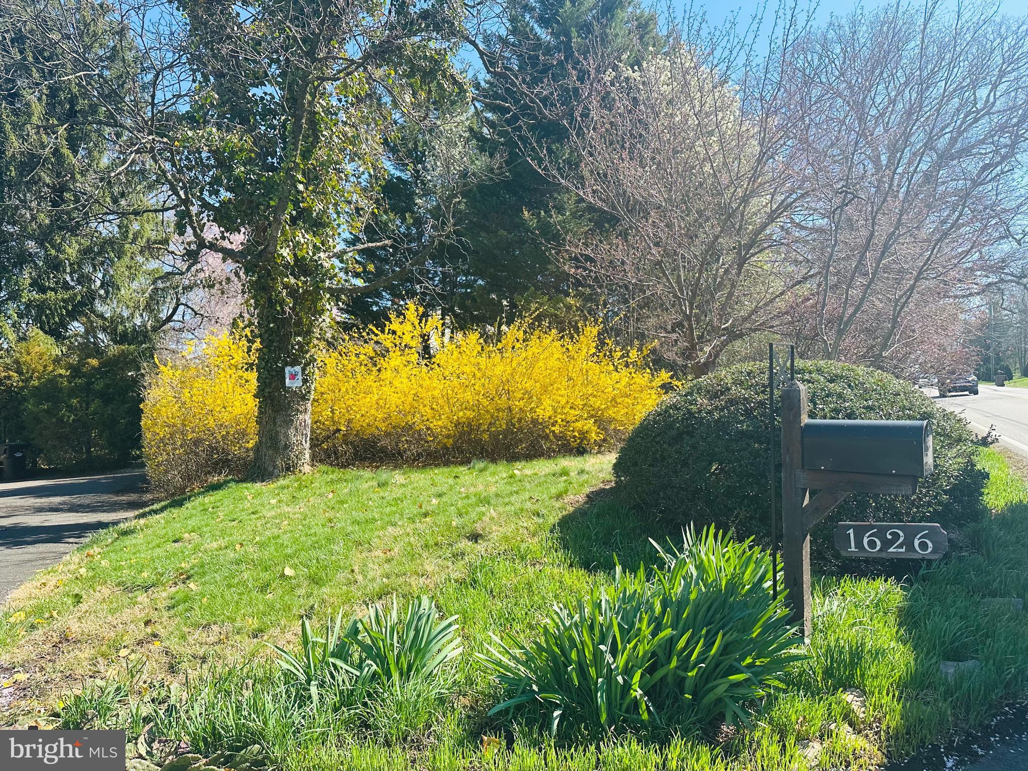 1626 Norristown Road Ambler, PA 19002 - Photo 8 of 57 a view of yard with green space
