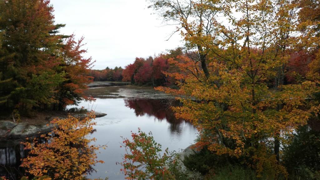 Lot #7 Rangdale Road Durham, ME 04222 - Photo 20 of 25 Photo