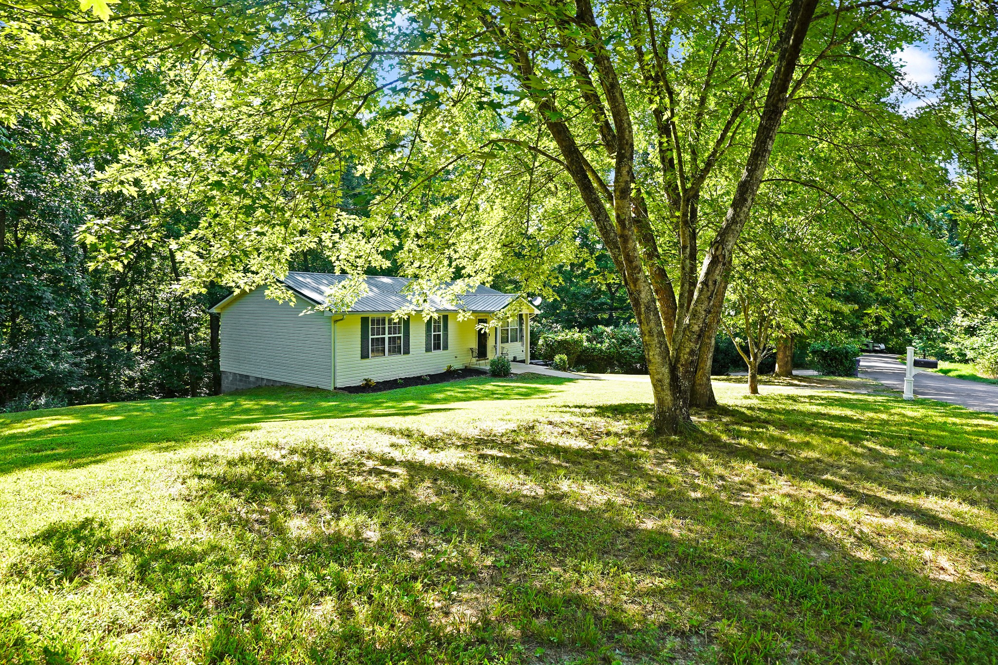 129 Beech Street Dover, TN 37058 - Photo 2 of 27 a backyard of a house with plants and large trees