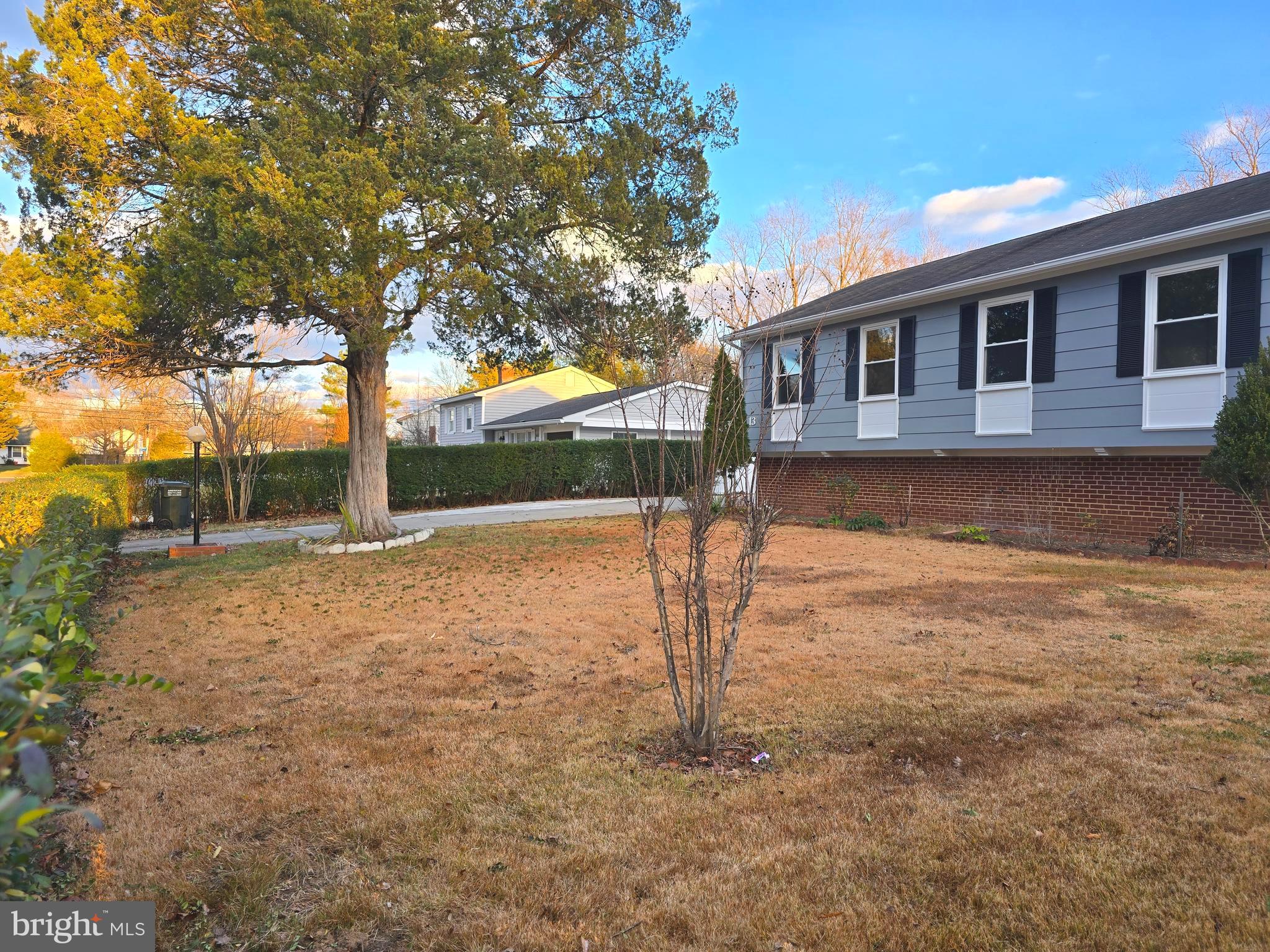 4813 Lawrence Street Alexandria, VA 22309 - Photo 2 of 66 a backyard of a house with lots of green space