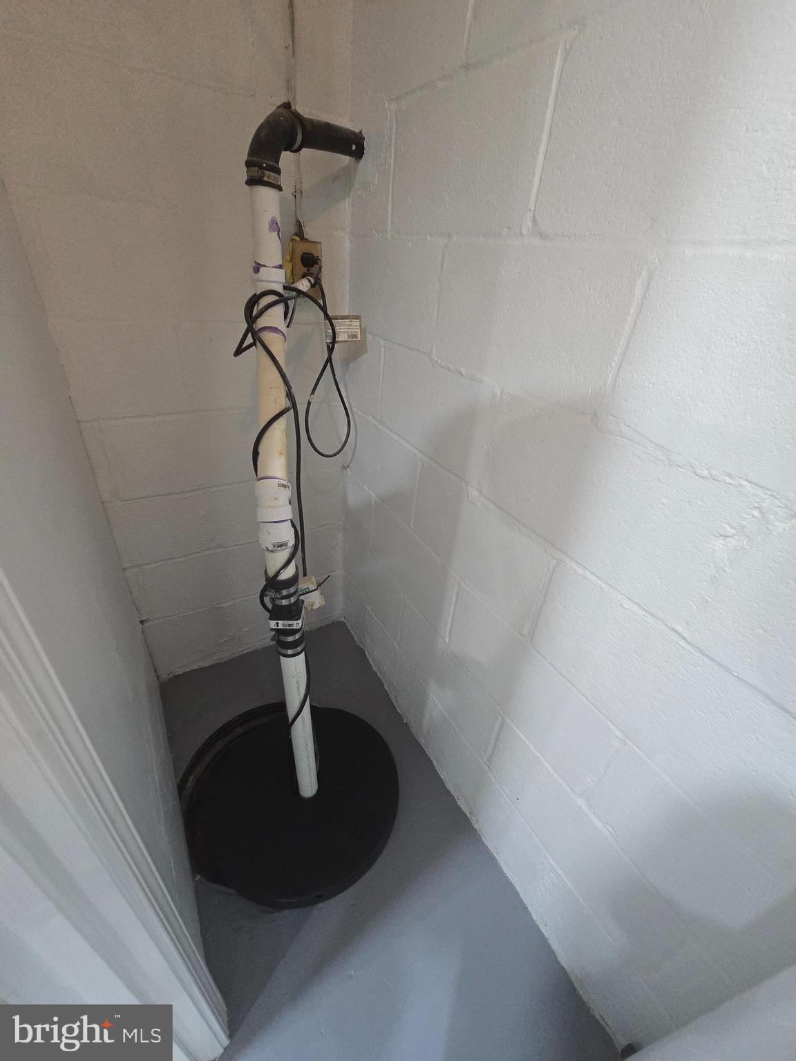 4813 Lawrence Street Alexandria, VA 22309 - Photo 45 of 66 a vase of flowers sitting on a table