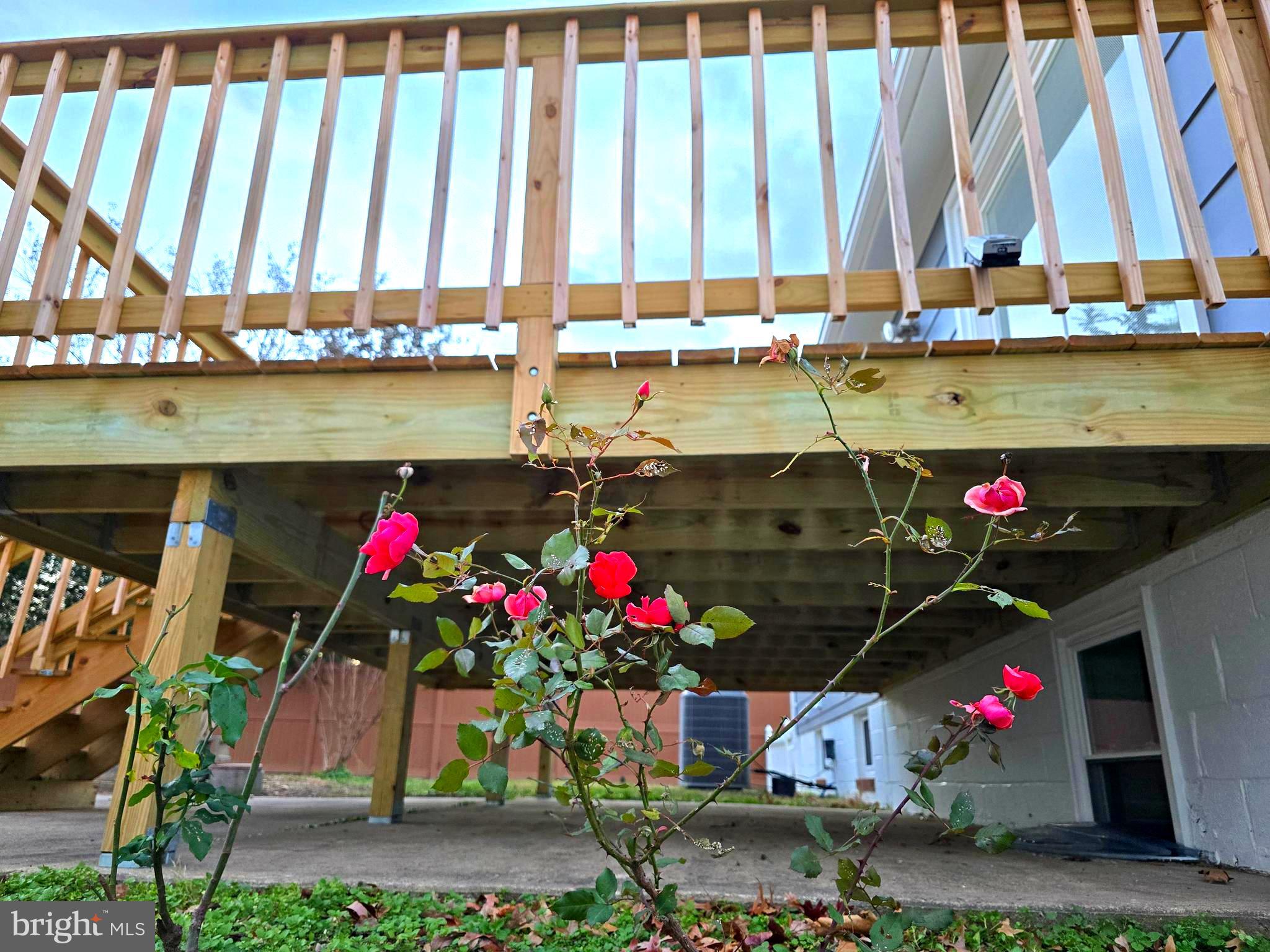 4813 Lawrence Street Alexandria, VA 22309 - Photo 57 of 66 Deck