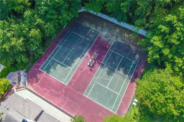 a view of a yard with plants and trees