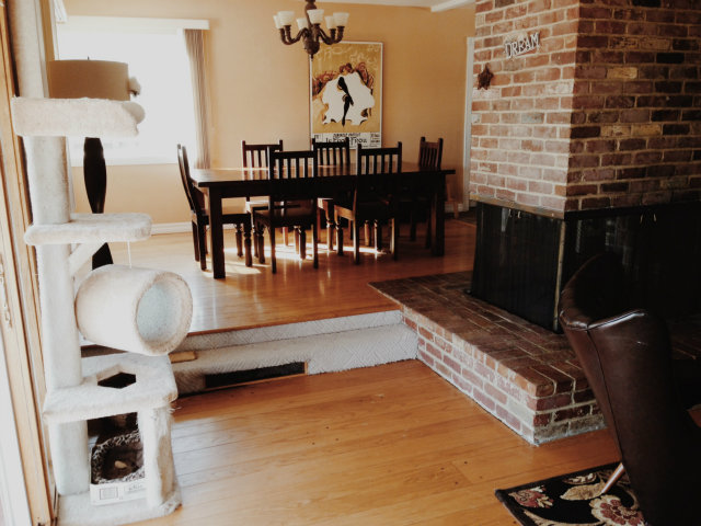 4777 Proctor Road Castro Valley, CA 94546 - Photo 7 of 25 Gallery Image 7