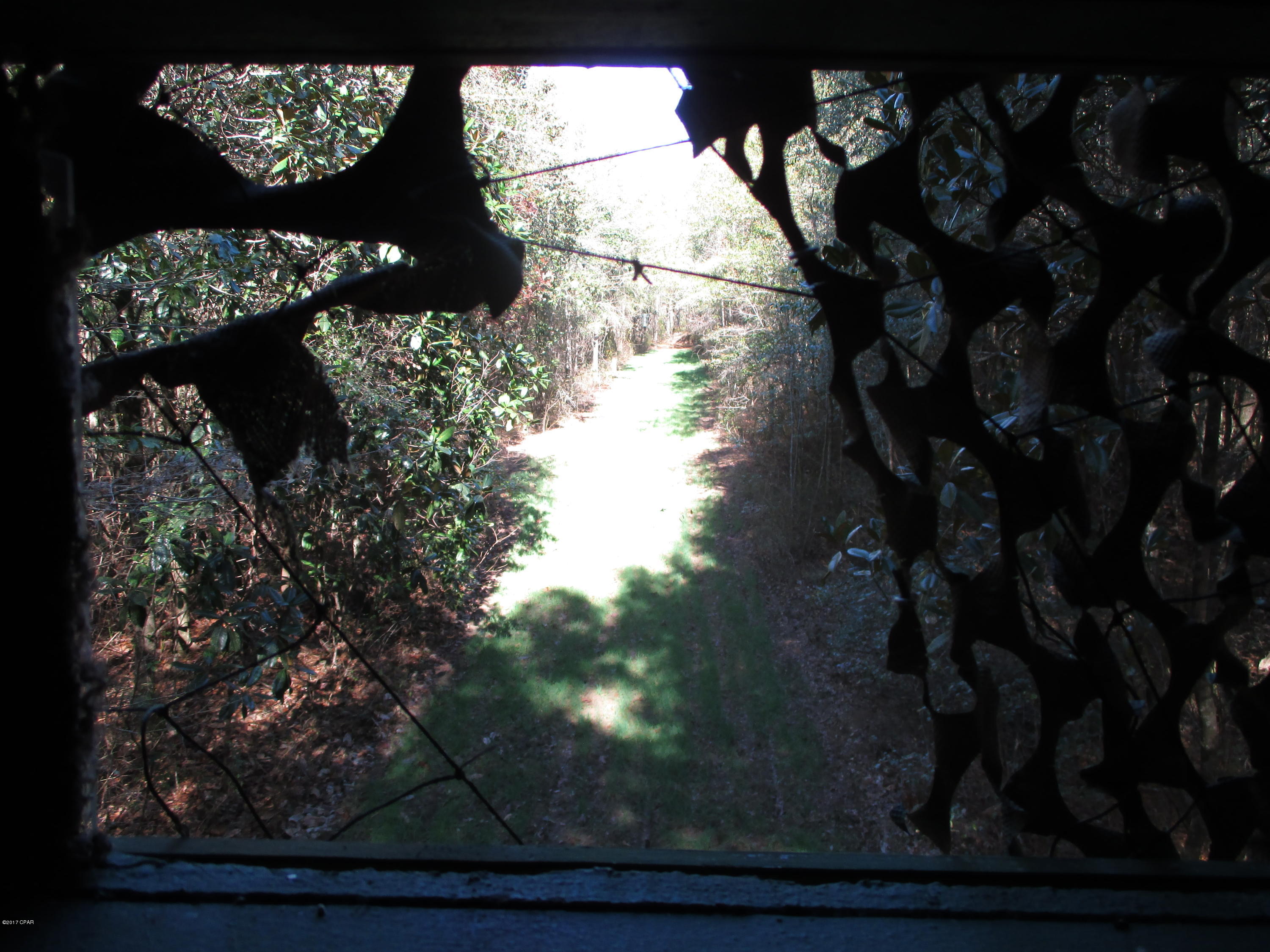 0 Benchoff Road Bonifay, FL 32425 - Photo 7 of 32
