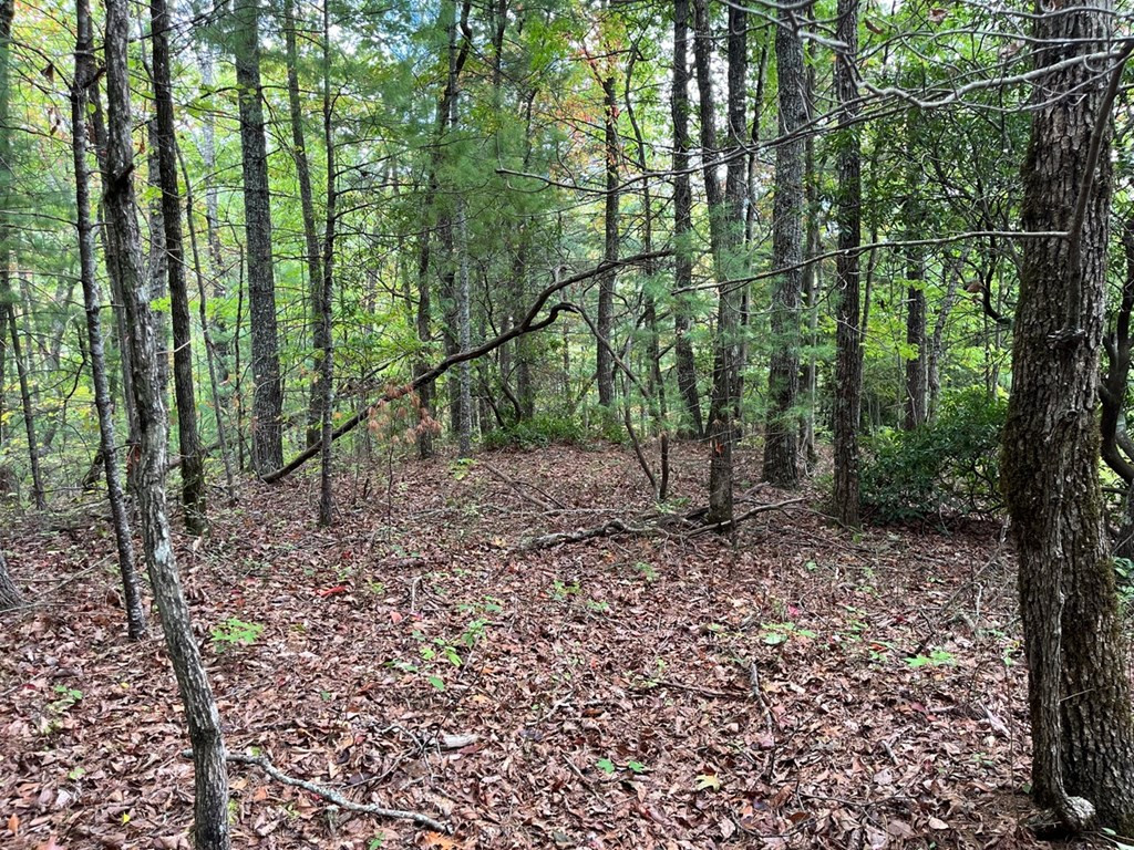 Tbd Burrell Mountain Road Murphy, NC 28906 - Photo 9 of 28