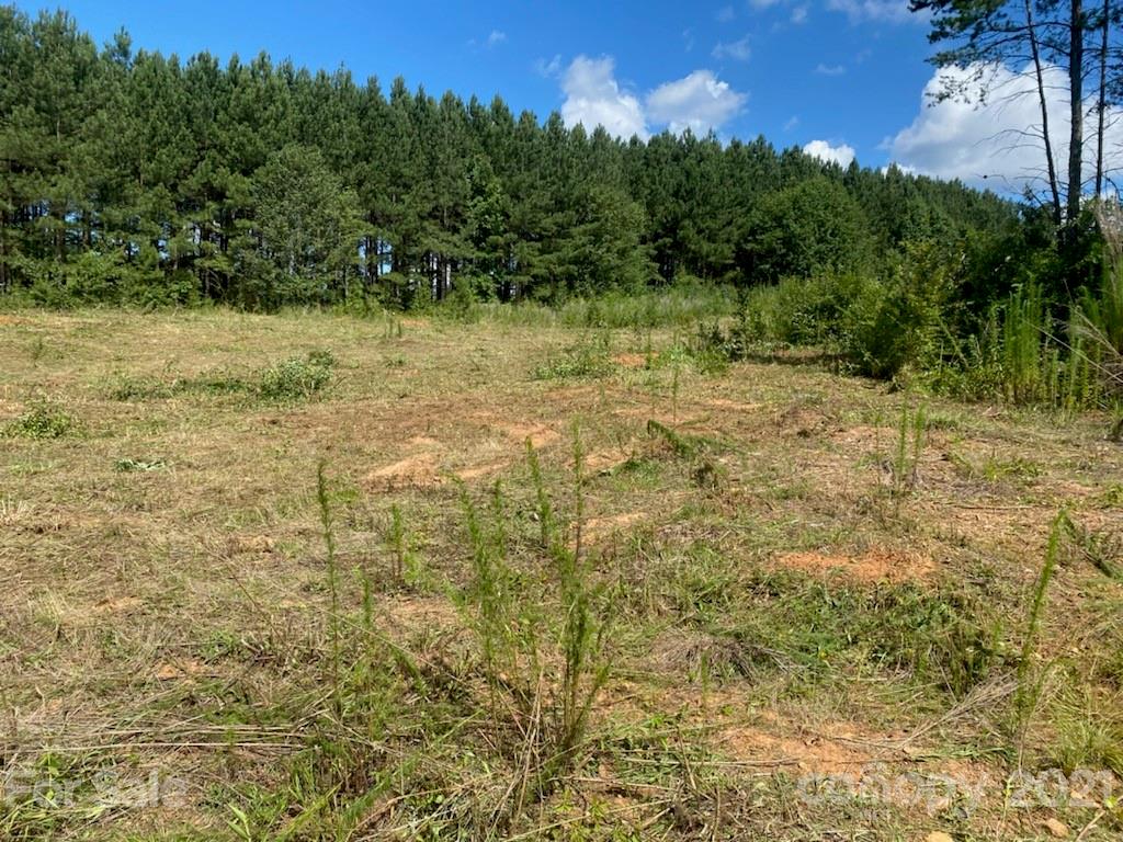 3219 Lynn Mountain Road Vale, NC 28168 - Photo 2 of 6 a view of a yard with trees in the background