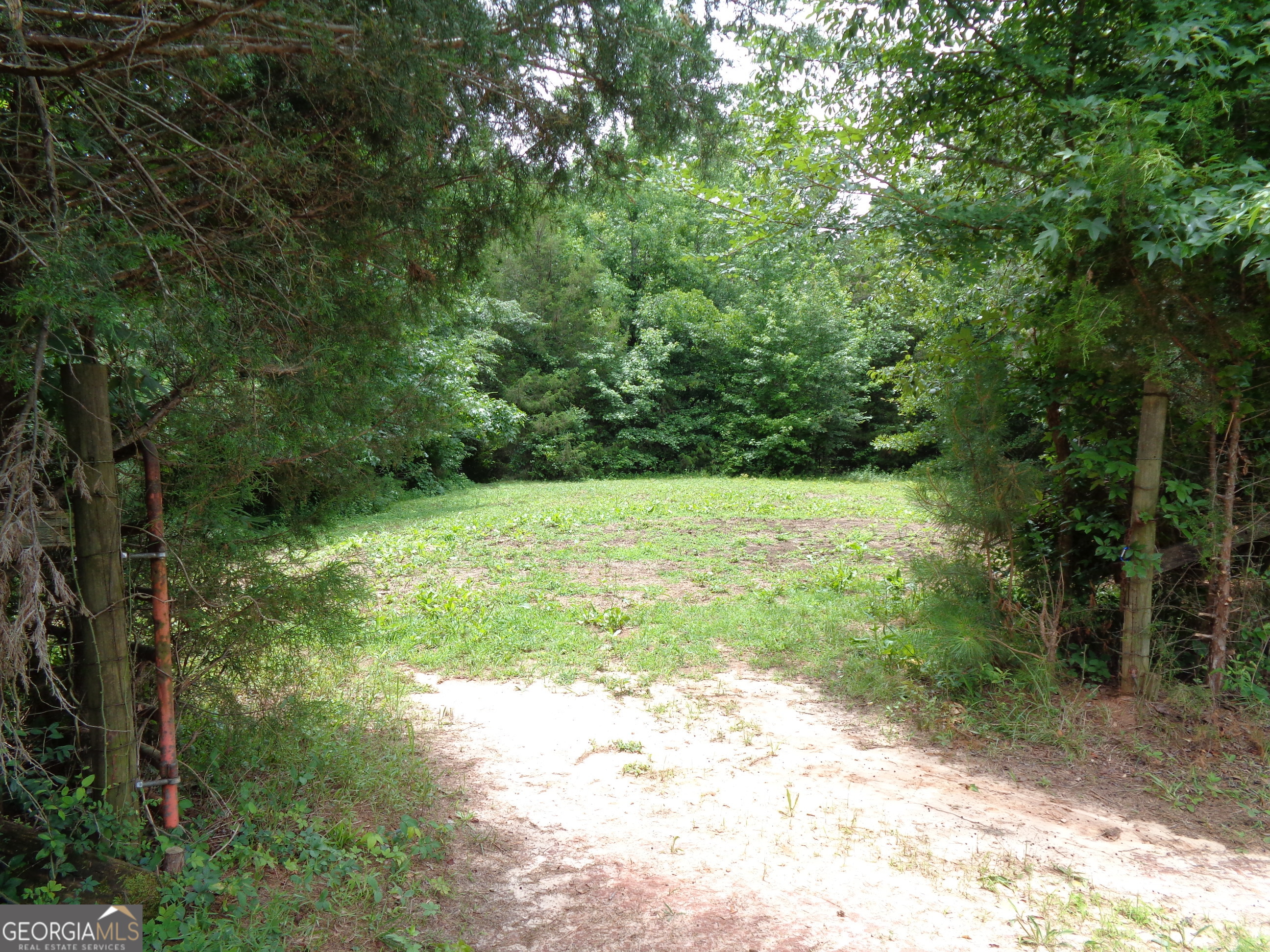 2411 Kesler Road Carnesville, GA 30521 - Photo 44 of 61 a view of a yard with a tree