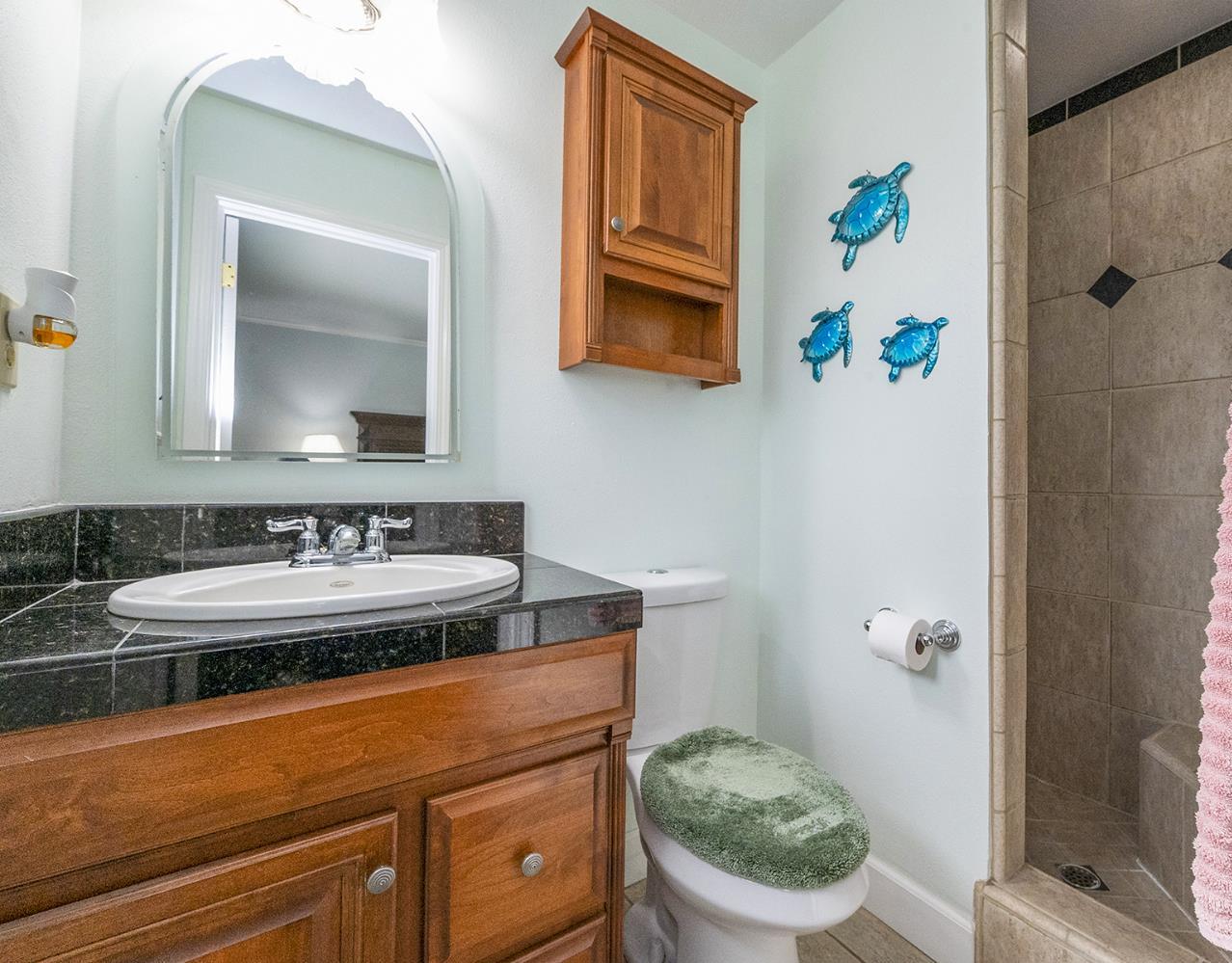 1261 Jurgens Road Rescue, CA 95672 - Photo 53 of 80 small home primary bathroom