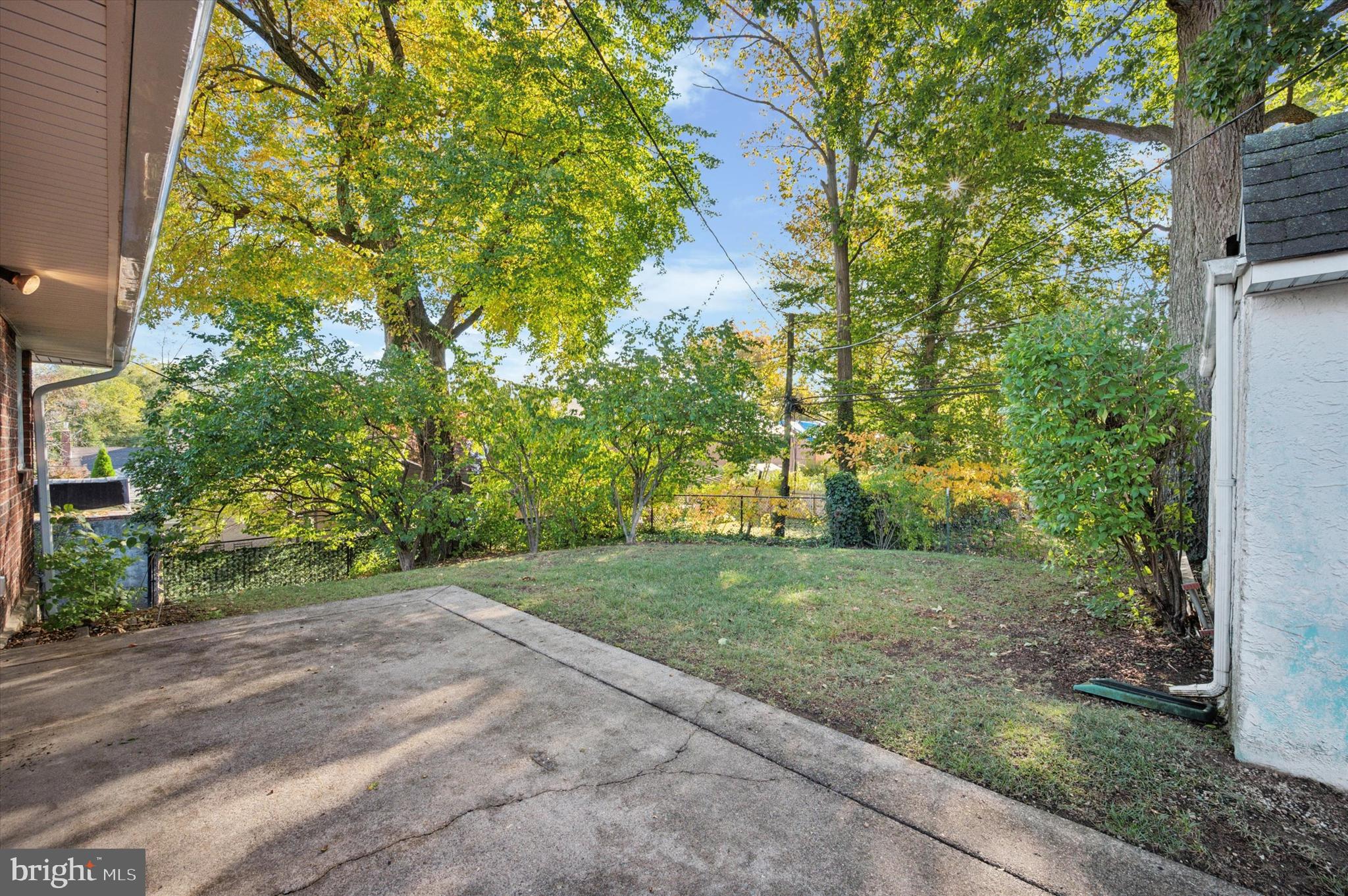 2308 Poplar Road Havertown, PA 19083 - Photo 25 of 25 a view of a yard with plants and trees