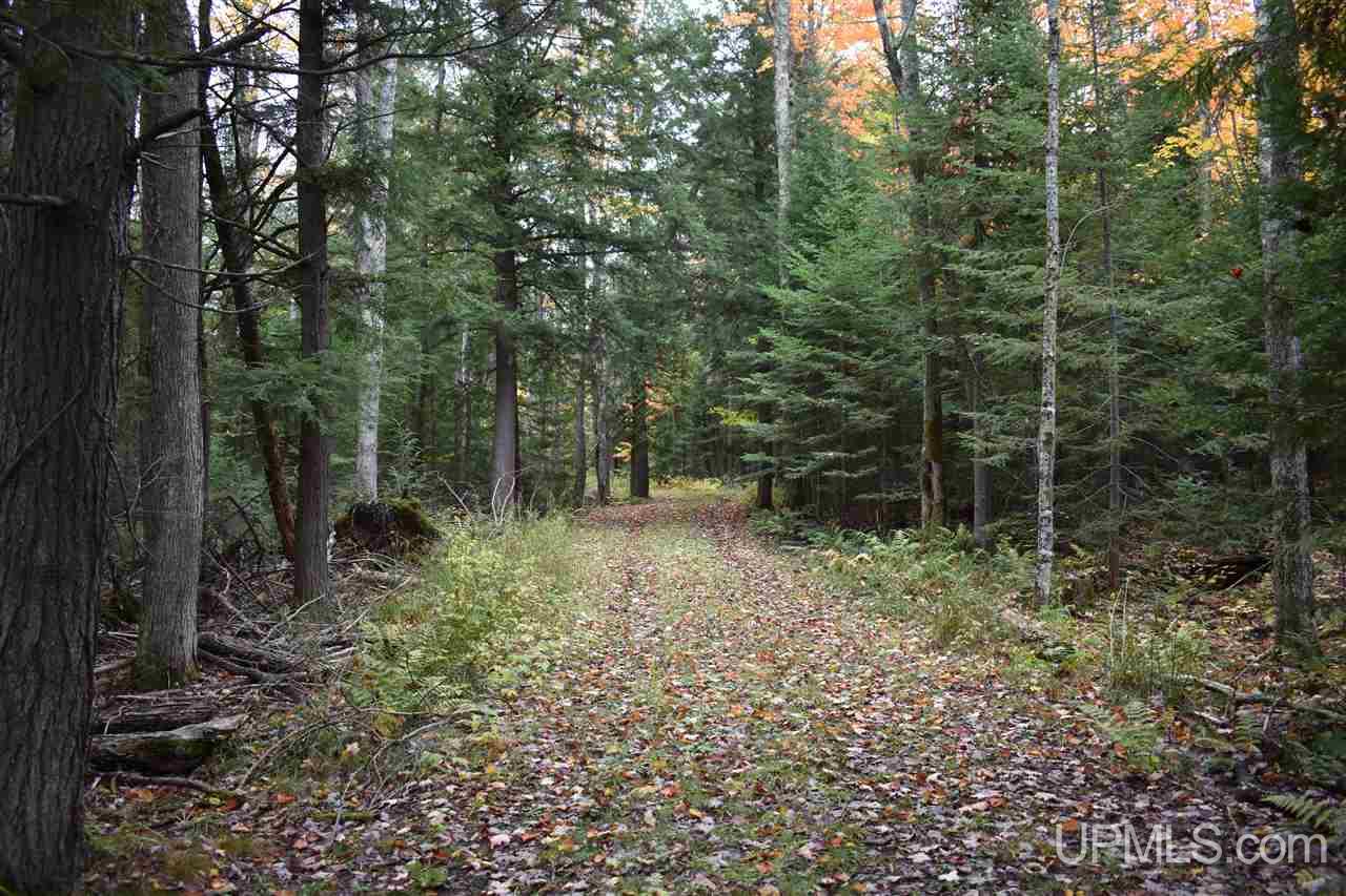 9-acres Deerton Road Deerton, MI 49822 - Photo 30 of 37 Gallery Image 30
