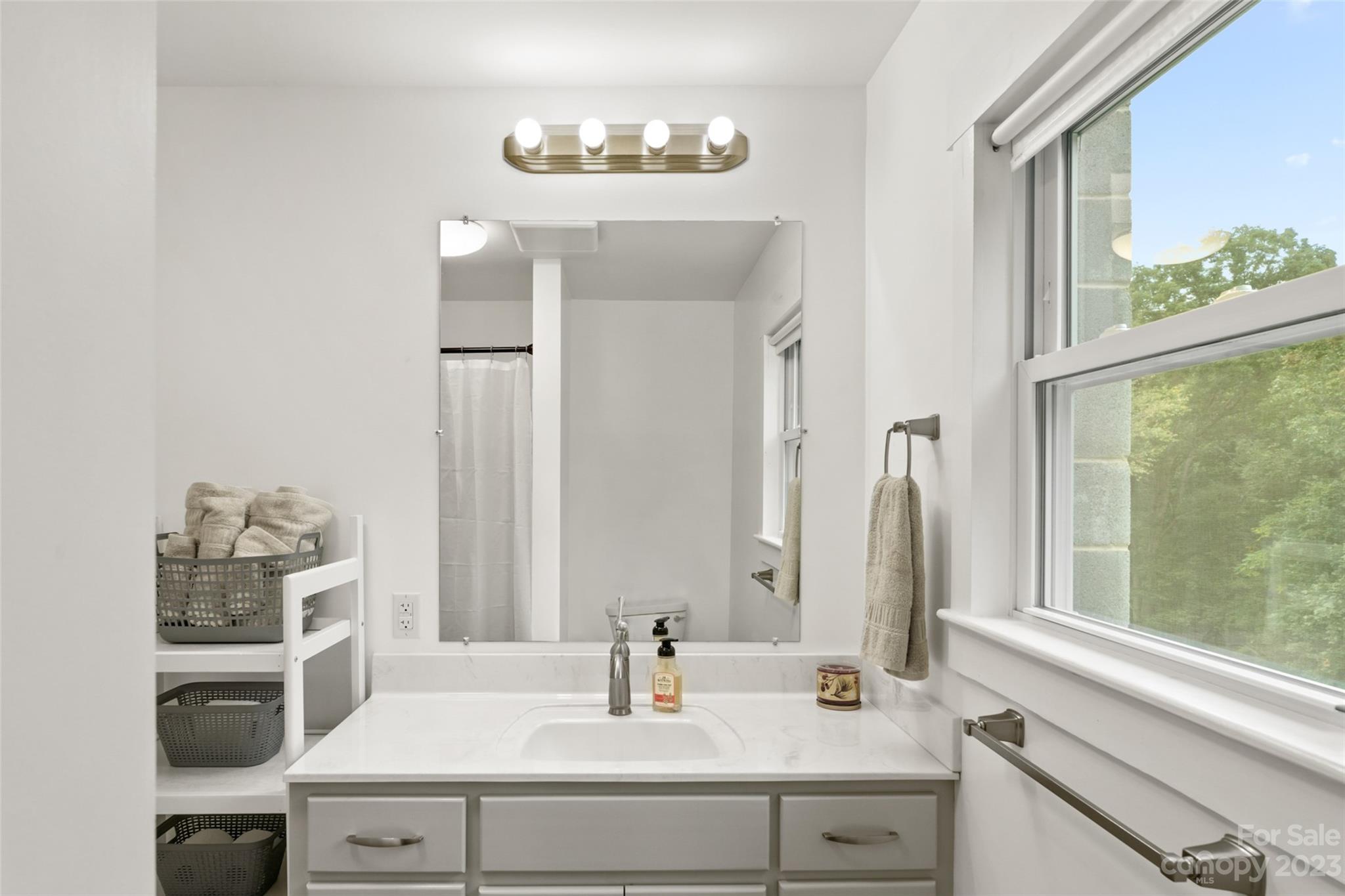 6363 Cheatham Ford Road Hiddenite, NC 28636 - Photo 14 of 32 a bathroom with a sink and a mirror