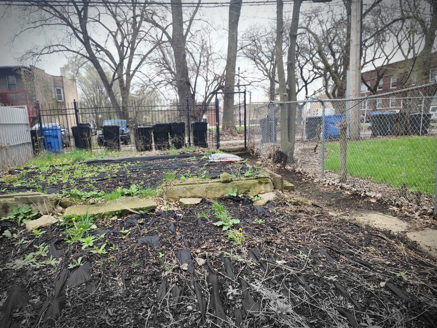 6953 South Elizabeth Street Chicago, IL 60636 - Photo 19 of 20 a view of a house with a yard