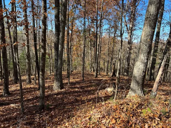 a view of outdoor space with lots of trees