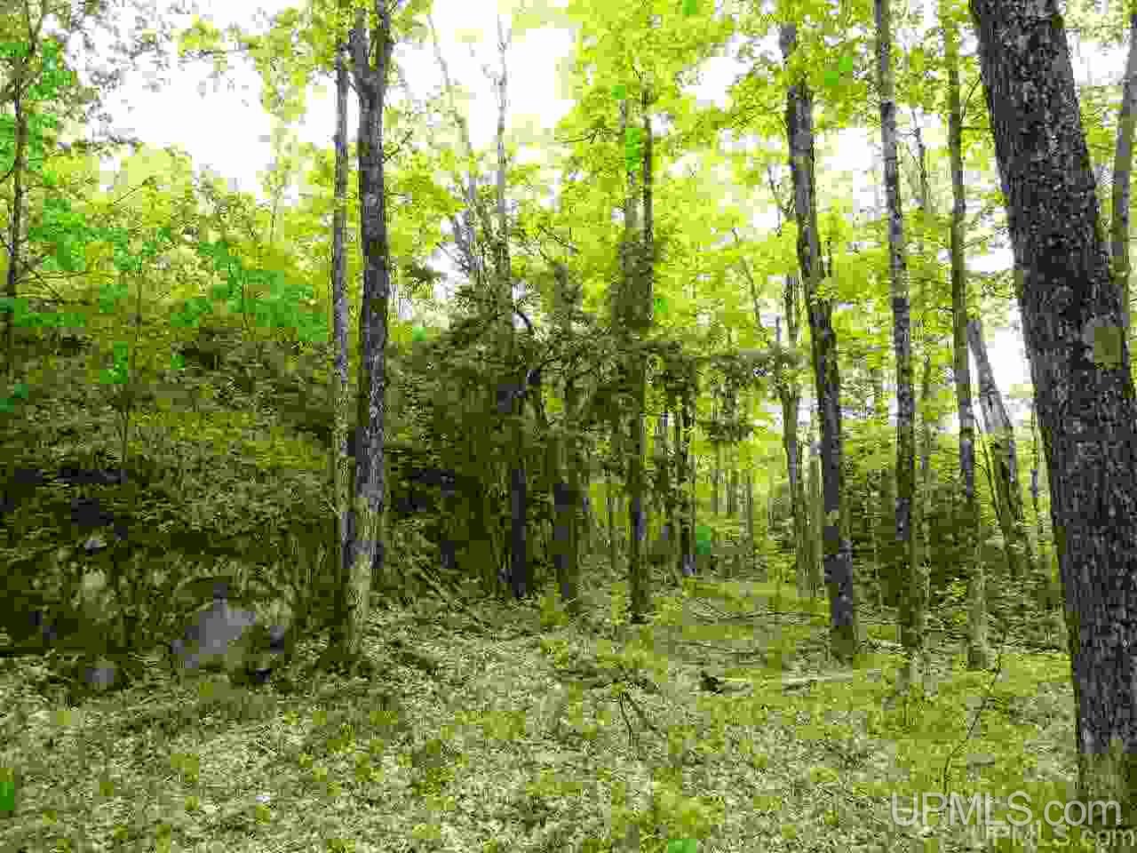 80-acres Dog Patch Road Lanse, MI 49946 - Photo 11 of 50 Gallery Image 11