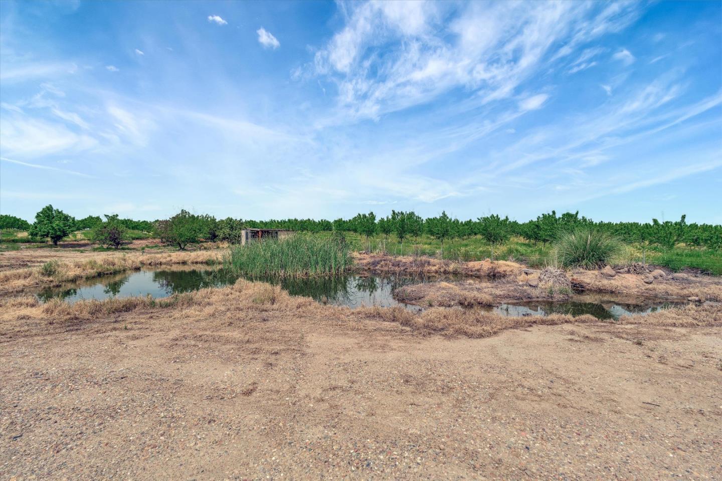 10055 South Henry Road Farmington, CA 95230 - Photo 98 of 98 Gallery Image 98