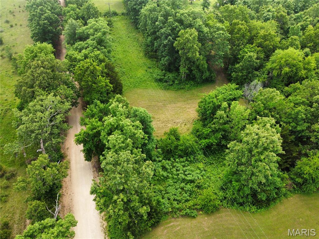10375 Cedar Lane Dixon, MO 65459 - Photo 88 of 88