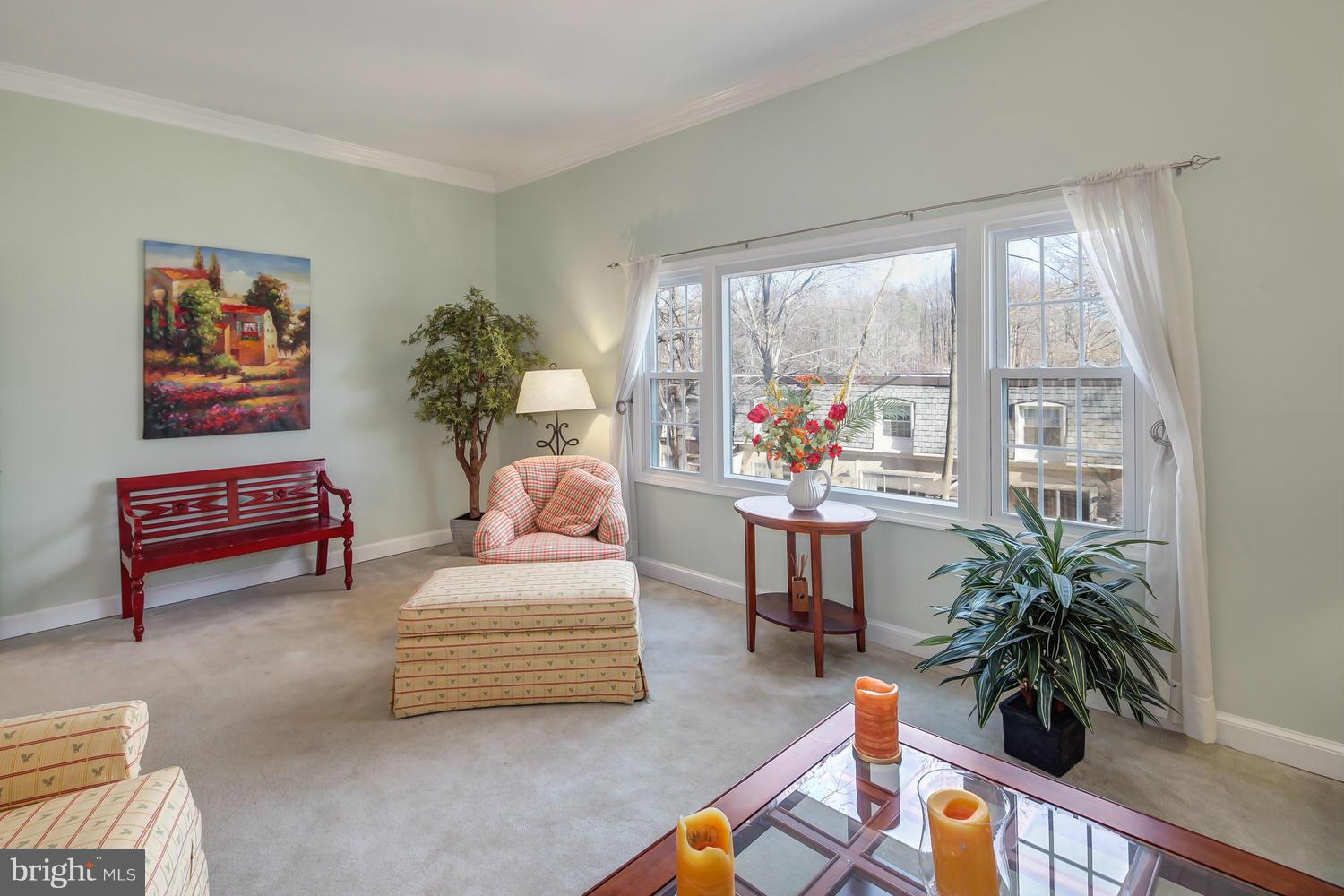 5939 Bayshire Road, Unit 121 Springfield, VA 22152 - Photo 13 of 30 Living Room