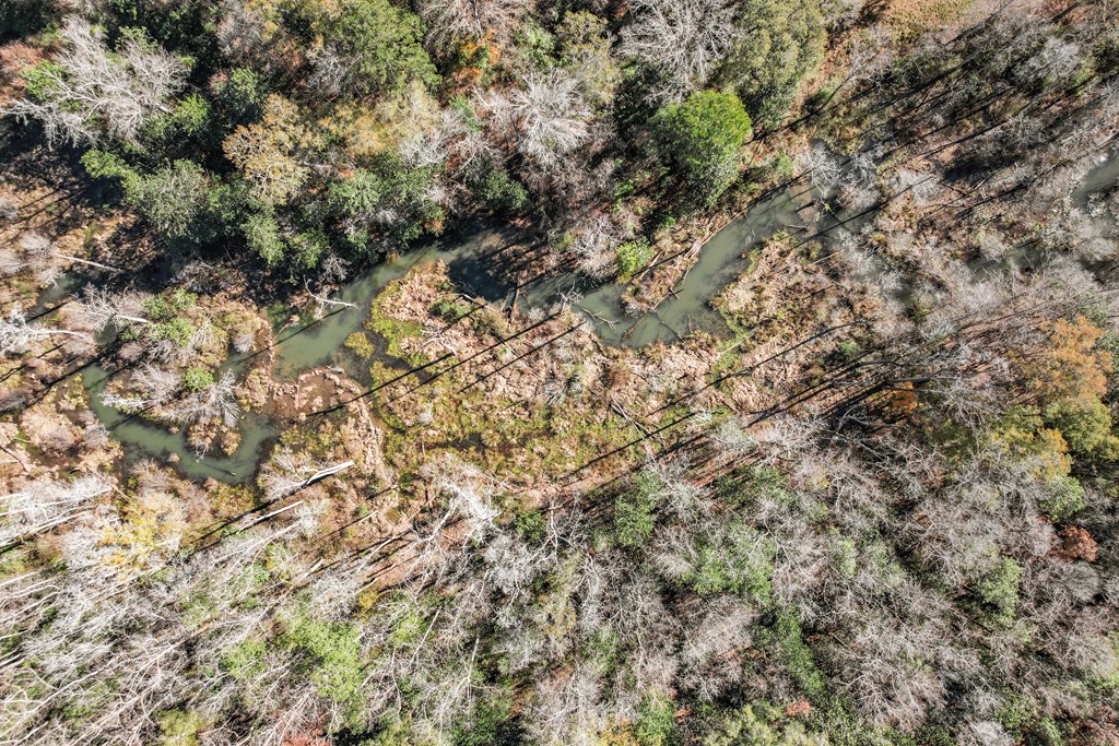 85 Sweetbay Trace Dothan, AL 36303 - Photo 73 of 76