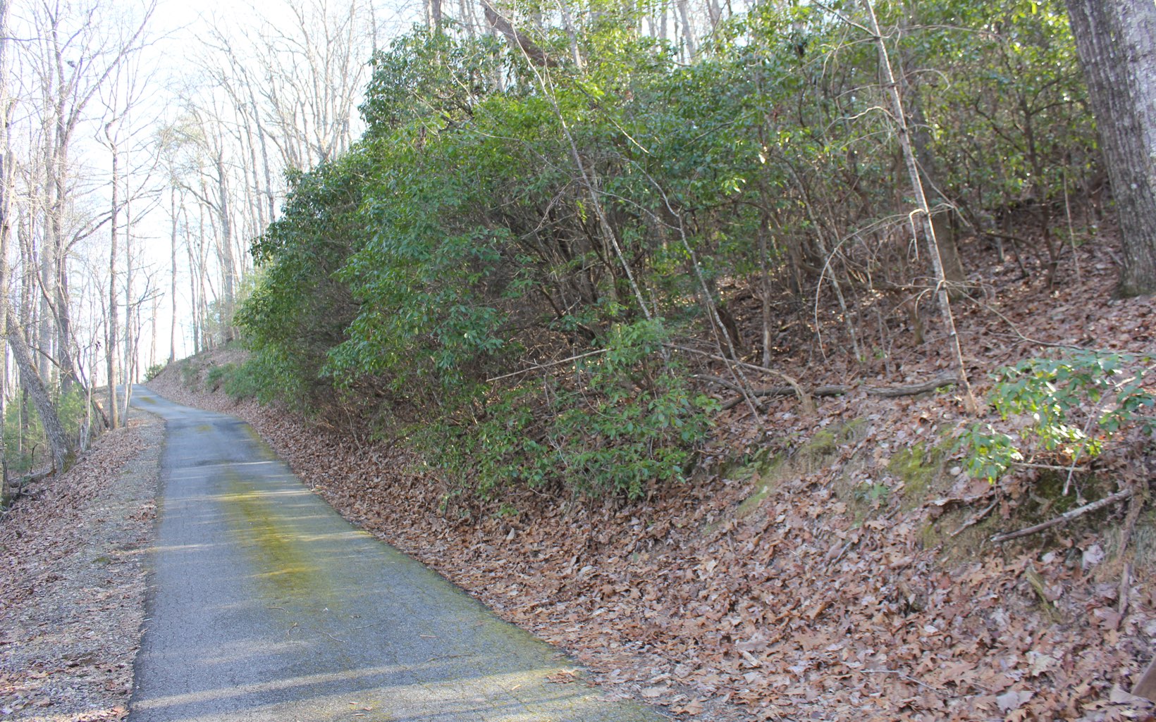 Rich Road Blairsville, GA 30512 - Photo 1 of 1 Main View