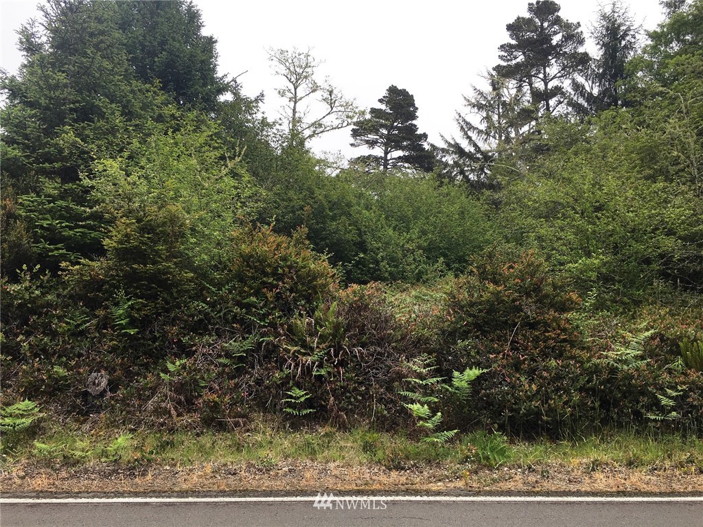 35460 Stackpole Road Oysterville, WA 98641 - Photo 1 of 4 Gallery Image 1