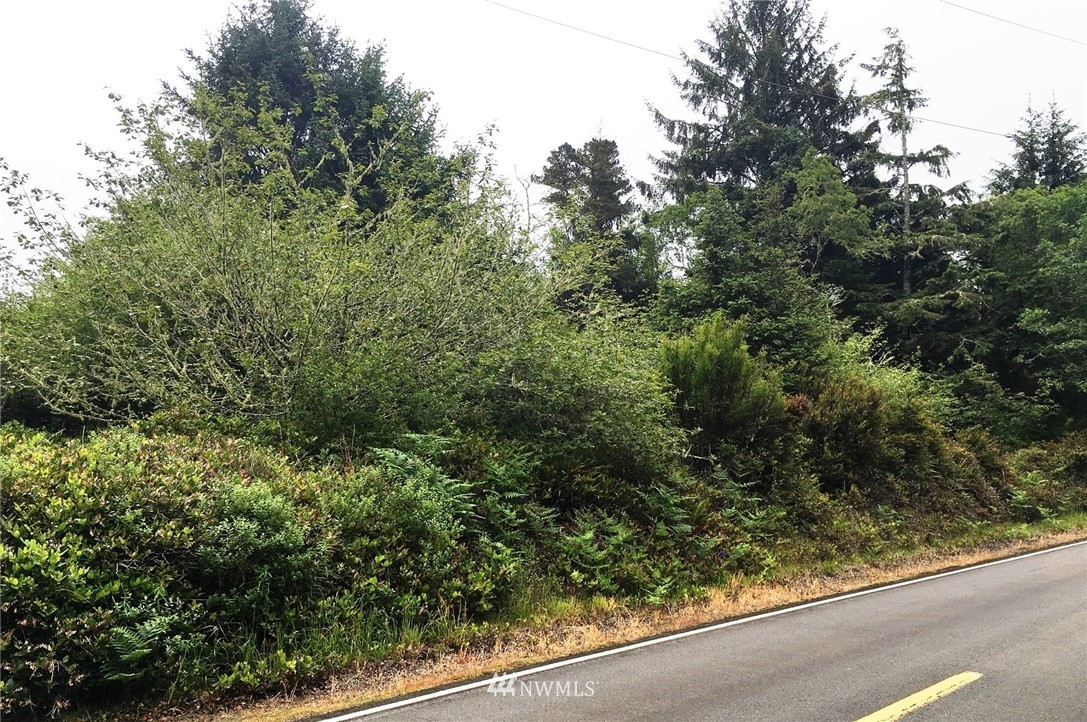 35460 Stackpole Road Oysterville, WA 98641 - Photo 4 of 4 Gallery Image 4